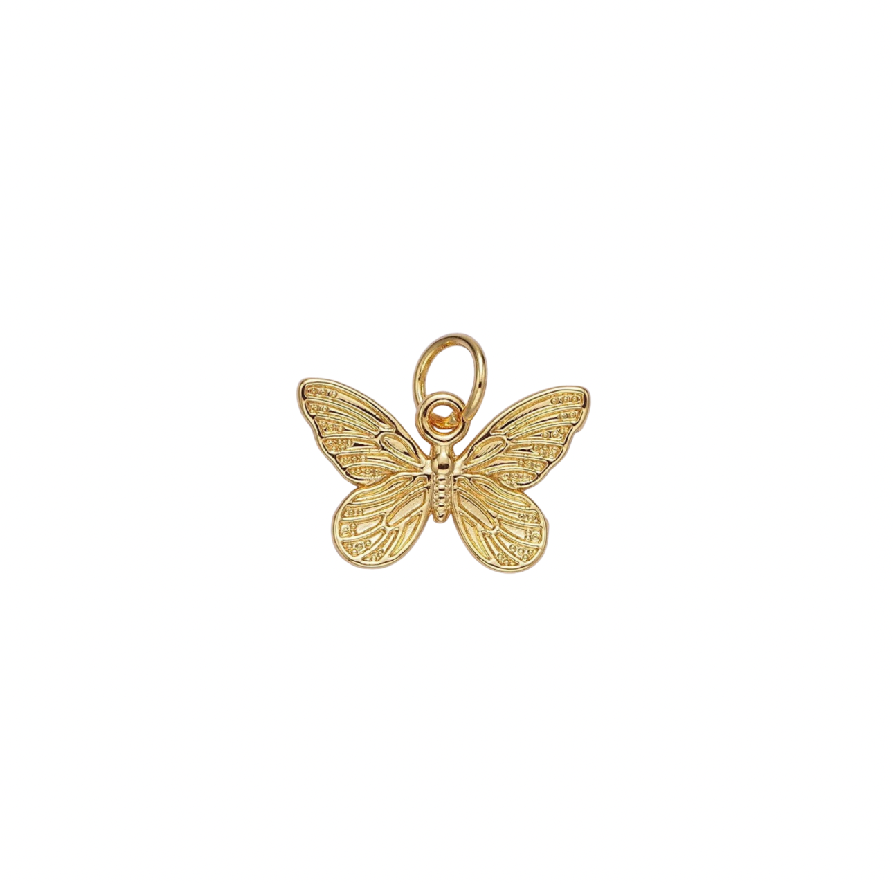 Charms: Earth, Sky, Animals