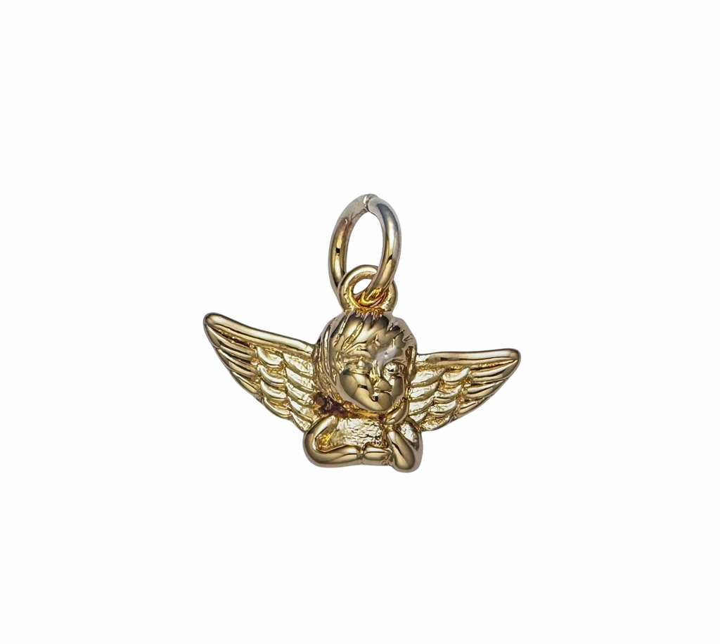 Charms: Earth, Sky, Animals